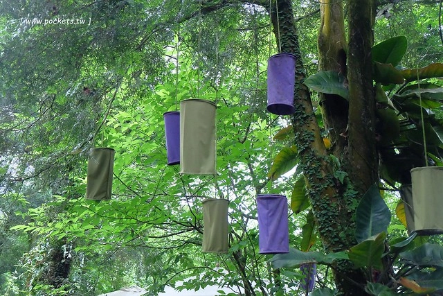 台中新社｜薰衣草森林新社店．充滿幸福的紫色樂園，享受森林裡的芬多精 @飛天璇的口袋