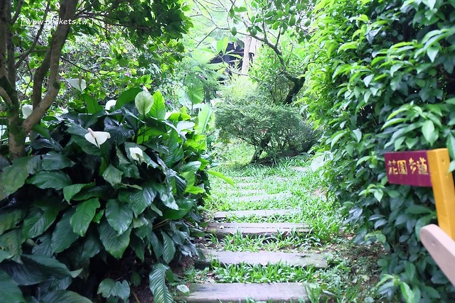 台中新社｜薰衣草森林新社店．充滿幸福的紫色樂園，享受森林裡的芬多精 @飛天璇的口袋