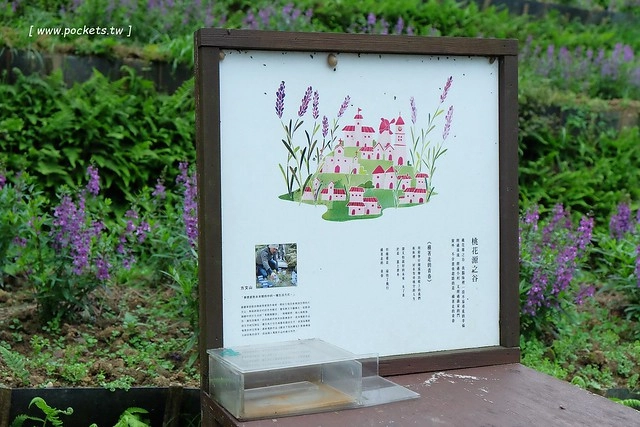 台中新社｜薰衣草森林新社店．充滿幸福的紫色樂園，享受森林裡的芬多精 @飛天璇的口袋