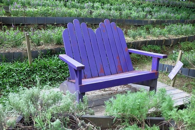 台中新社｜薰衣草森林新社店．充滿幸福的紫色樂園，享受森林裡的芬多精 @飛天璇的口袋