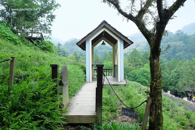 台中新社｜薰衣草森林新社店．充滿幸福的紫色樂園，享受森林裡的芬多精 @飛天璇的口袋