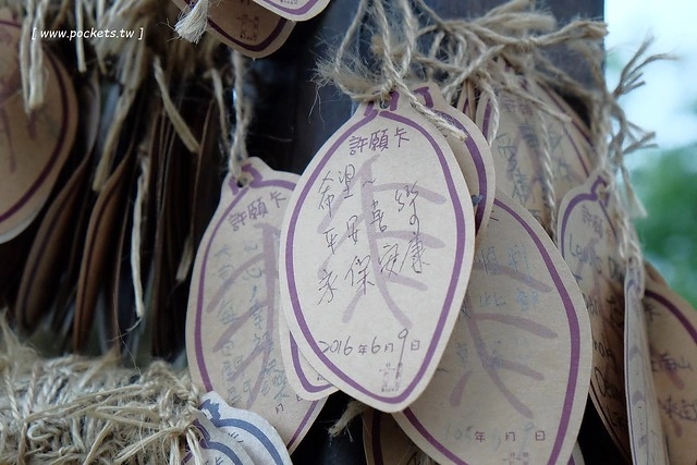 台中新社｜薰衣草森林新社店．充滿幸福的紫色樂園，享受森林裡的芬多精 @飛天璇的口袋