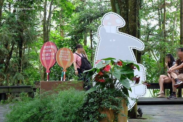 台中新社｜薰衣草森林新社店．充滿幸福的紫色樂園，享受森林裡的芬多精 @飛天璇的口袋