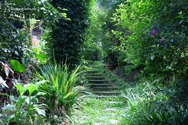 台中新社｜薰衣草森林新社店．充滿幸福的紫色樂園，享受森林裡的芬多精 @飛天璇的口袋