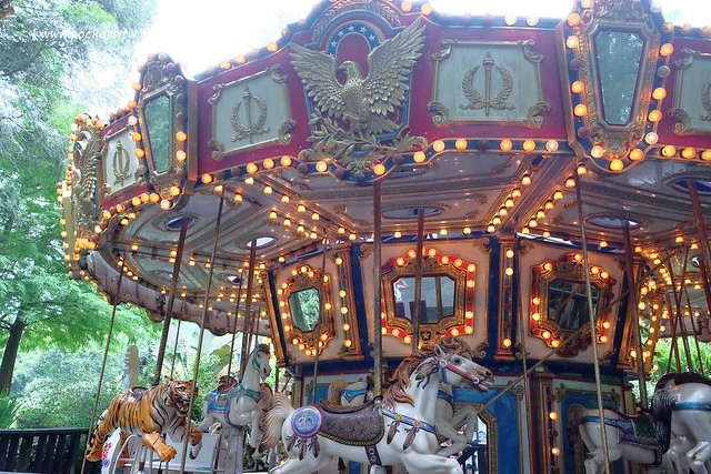 台中新社｜薰衣草森林新社店．充滿幸福的紫色樂園，享受森林裡的芬多精 @飛天璇的口袋