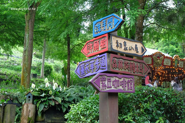 台中新社｜薰衣草森林新社店．充滿幸福的紫色樂園，享受森林裡的芬多精 @飛天璇的口袋