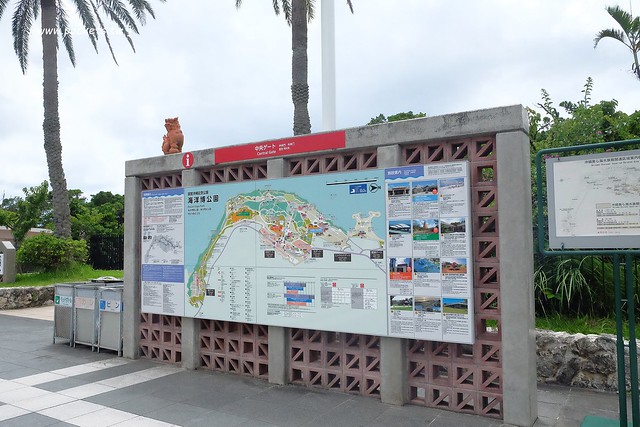 日本沖繩｜美麗海水族館．絢麗多彩的沖繩之謎，嘆為觀止的黑潮之海 @飛天璇的口袋