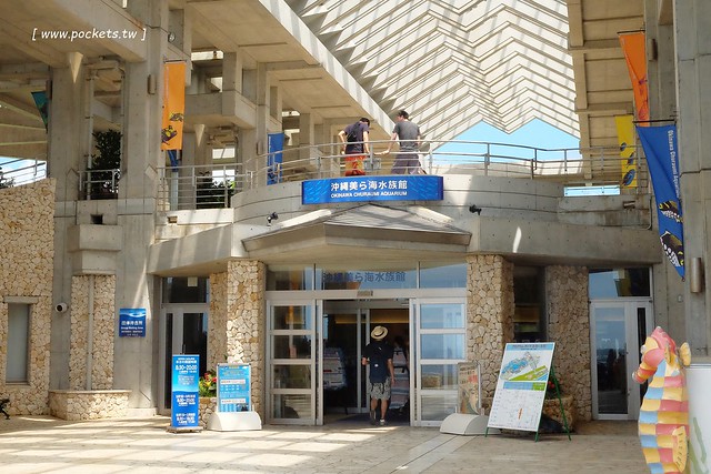 日本沖繩｜美麗海水族館．絢麗多彩的沖繩之謎，嘆為觀止的黑潮之海 @飛天璇的口袋