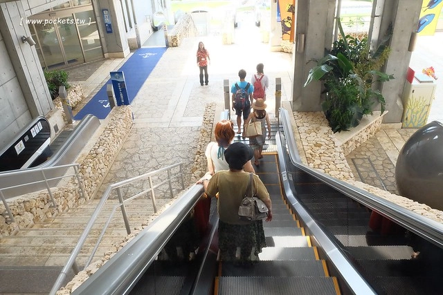 日本沖繩｜美麗海水族館．絢麗多彩的沖繩之謎，嘆為觀止的黑潮之海 @飛天璇的口袋
