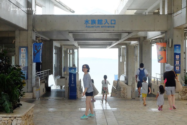 日本沖繩｜美麗海水族館．絢麗多彩的沖繩之謎，嘆為觀止的黑潮之海 @飛天璇的口袋