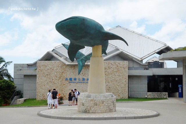 日本沖繩｜美麗海水族館．絢麗多彩的沖繩之謎，嘆為觀止的黑潮之海 @飛天璇的口袋