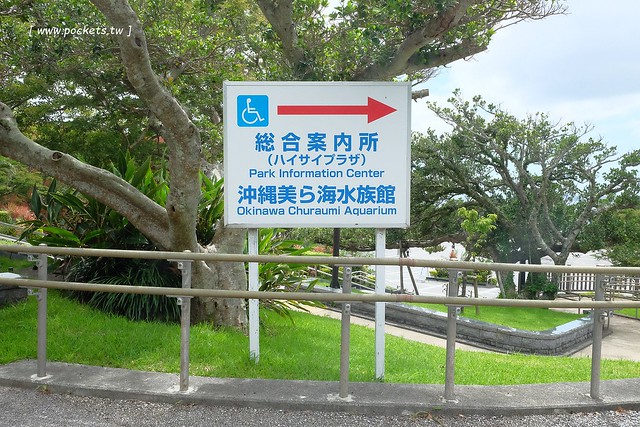 日本沖繩｜美麗海水族館．絢麗多彩的沖繩之謎，嘆為觀止的黑潮之海 @飛天璇的口袋