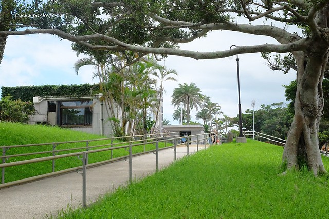 日本沖繩｜美麗海水族館．絢麗多彩的沖繩之謎，嘆為觀止的黑潮之海 @飛天璇的口袋