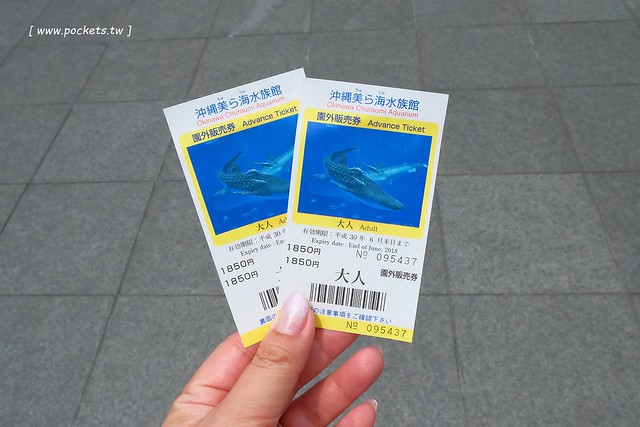 日本沖繩｜美麗海水族館．絢麗多彩的沖繩之謎，嘆為觀止的黑潮之海 @飛天璇的口袋