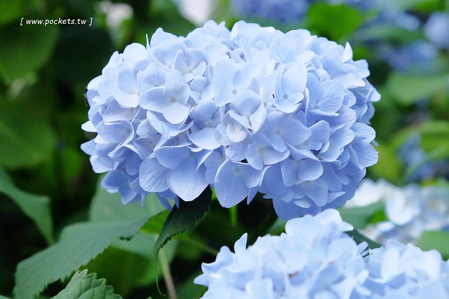 日本秋田旅遊景點┃秋田趴趴造Day2：角館TATETSU家和服體驗&rarr;角館武家屋敷(青柳家)&rarr;KURAKICHI和菓子&rarr;田澤湖(辰子、獨木舟)&rarr; 乳頭溫泉妙乃湯 @飛天璇的口袋