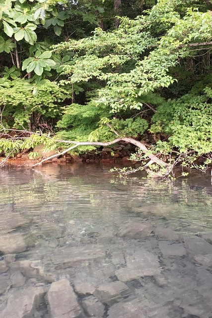 日本秋田旅遊景點┃秋田趴趴造Day2：角館TATETSU家和服體驗&rarr;角館武家屋敷(青柳家)&rarr;KURAKICHI和菓子&rarr;田澤湖(辰子、獨木舟)&rarr; 乳頭溫泉妙乃湯 @飛天璇的口袋