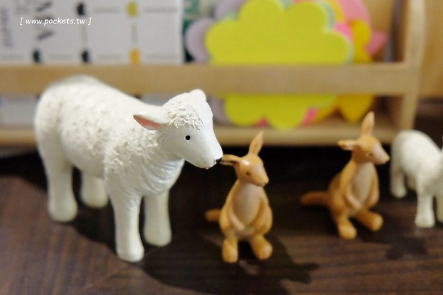 AShare Caf&eacute;┃台中早午餐：充滿旅人故事咖啡館，店裡有濃濃的澳洲風情，滿滿的旅遊紀念收藏品，鄰近台中稅捐處和台中教育大學 @飛天璇的口袋