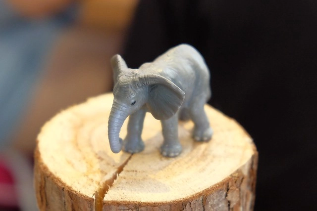 早伴早餐｜老宅改建早午餐店，環境簡單樸實，餐點平價深受學生族群的喜歡 @飛天璇的口袋