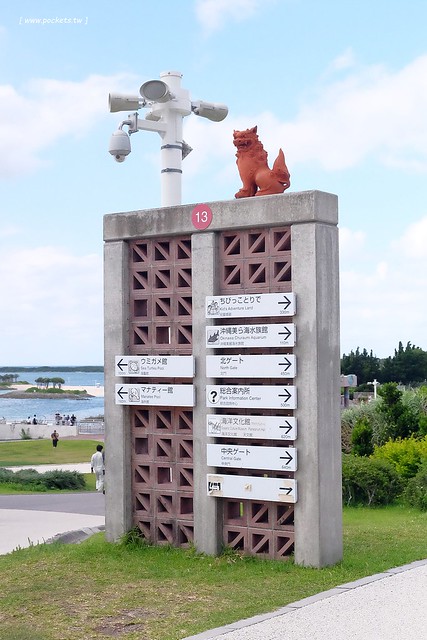日本沖繩｜美麗海水族館．絢麗多彩的沖繩之謎，嘆為觀止的黑潮之海 @飛天璇的口袋