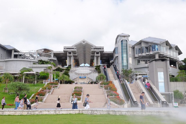 日本沖繩｜美麗海水族館．絢麗多彩的沖繩之謎，嘆為觀止的黑潮之海 @飛天璇的口袋