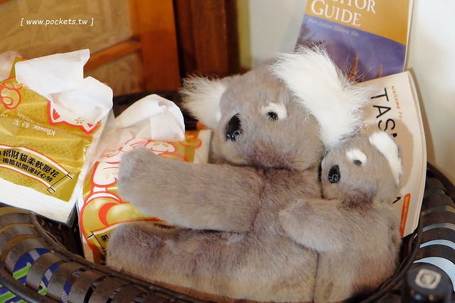 AShare Caf&eacute;┃台中早午餐：充滿旅人故事咖啡館，店裡有濃濃的澳洲風情，滿滿的旅遊紀念收藏品，鄰近台中稅捐處和台中教育大學 @飛天璇的口袋