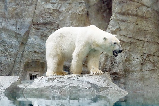 日本秋田旅遊景點┃秋田趴趴造Day4：小安峽大噴湯&rarr;佐藤養助(稻庭烏龍麵體驗+午餐)&rarr;兩關酒造&rarr;男鹿水族館GAO&rarr;元湯雄山閣&rarr;NAMAHAGE神鬼太鼓表演 @飛天璇的口袋