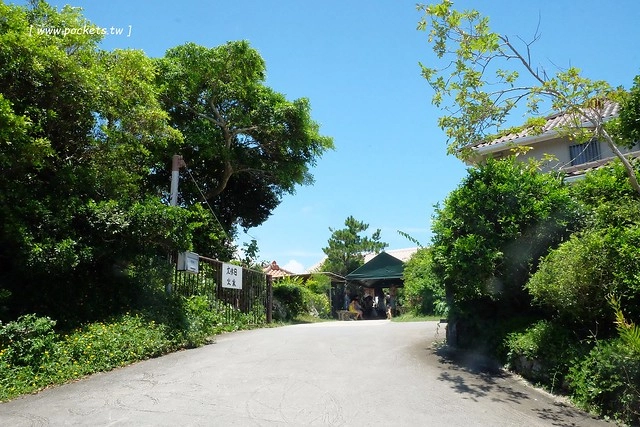 日本沖繩｜花人逢．かじんほう｜擁有無敵美景的餐廳，在日式老宅裡品嚐披薩的美味，人多時有候位的心裡準備 @飛天璇的口袋