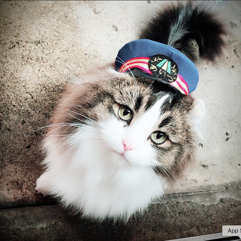 日本福島｜芦ノ牧溫泉駅．超療癒的貓咪站長Love，會津鐵道蘆之牧溫泉車站 @飛天璇的口袋