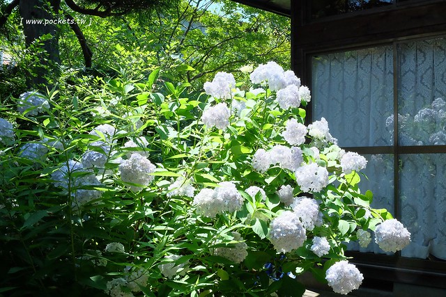 日本秋田旅遊景點┃秋田趴趴造Day2：角館TATETSU家和服體驗&rarr;角館武家屋敷(青柳家)&rarr;KURAKICHI和菓子&rarr;田澤湖(辰子、獨木舟)&rarr; 乳頭溫泉妙乃湯 @飛天璇的口袋