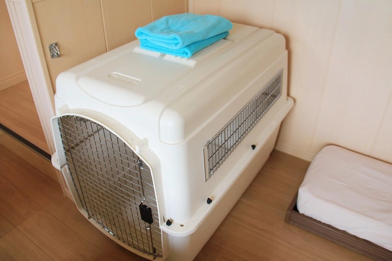 日本福島｜Angel Forest 天使之森那須白河．可愛的森林小圓屋，山林間的寵物友善飯店 @飛天璇的口袋