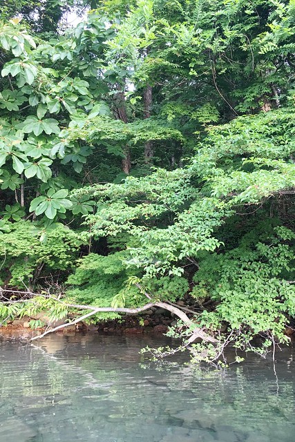 日本秋田旅遊景點┃秋田趴趴造Day2：角館TATETSU家和服體驗&rarr;角館武家屋敷(青柳家)&rarr;KURAKICHI和菓子&rarr;田澤湖(辰子、獨木舟)&rarr; 乳頭溫泉妙乃湯 @飛天璇的口袋