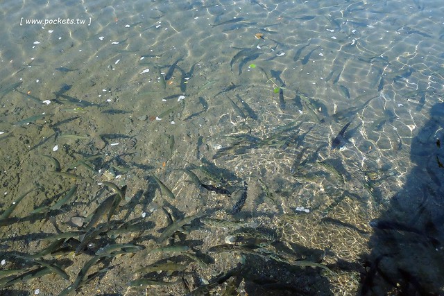 日本秋田旅遊景點┃秋田趴趴造Day2：角館TATETSU家和服體驗&rarr;角館武家屋敷(青柳家)&rarr;KURAKICHI和菓子&rarr;田澤湖(辰子、獨木舟)&rarr; 乳頭溫泉妙乃湯 @飛天璇的口袋