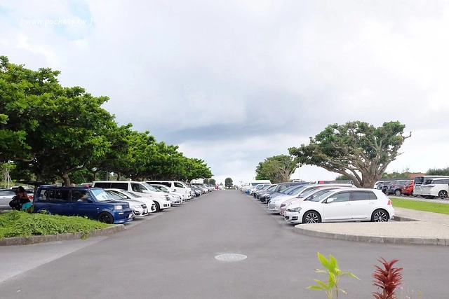 日本沖繩｜美麗海水族館．絢麗多彩的沖繩之謎，嘆為觀止的黑潮之海 @飛天璇的口袋