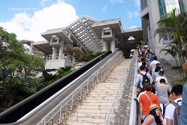日本沖繩｜美麗海水族館．絢麗多彩的沖繩之謎，嘆為觀止的黑潮之海 @飛天璇的口袋