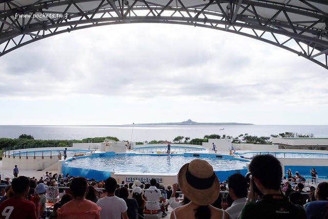日本沖繩｜美麗海水族館．絢麗多彩的沖繩之謎，嘆為觀止的黑潮之海 @飛天璇的口袋