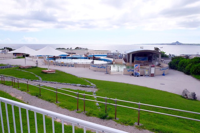 日本沖繩｜美麗海水族館．絢麗多彩的沖繩之謎，嘆為觀止的黑潮之海 @飛天璇的口袋