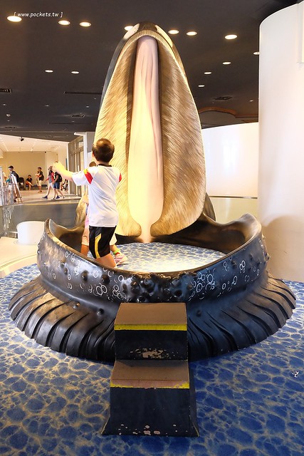 日本沖繩｜美麗海水族館．絢麗多彩的沖繩之謎，嘆為觀止的黑潮之海 @飛天璇的口袋