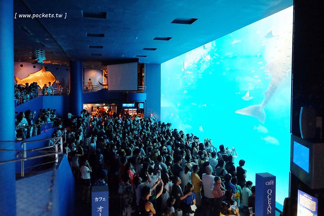 日本沖繩｜美麗海水族館．絢麗多彩的沖繩之謎，嘆為觀止的黑潮之海 @飛天璇的口袋