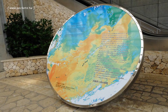 日本沖繩｜美麗海水族館．絢麗多彩的沖繩之謎，嘆為觀止的黑潮之海 @飛天璇的口袋