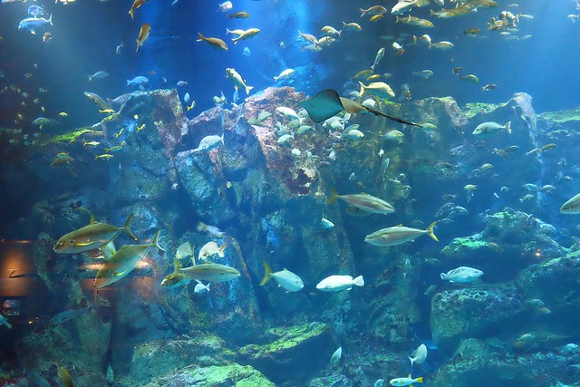 日本秋田旅遊景點┃秋田趴趴造Day4：小安峽大噴湯&rarr;佐藤養助(稻庭烏龍麵體驗+午餐)&rarr;兩關酒造&rarr;男鹿水族館GAO&rarr;元湯雄山閣&rarr;NAMAHAGE神鬼太鼓表演 @飛天璇的口袋