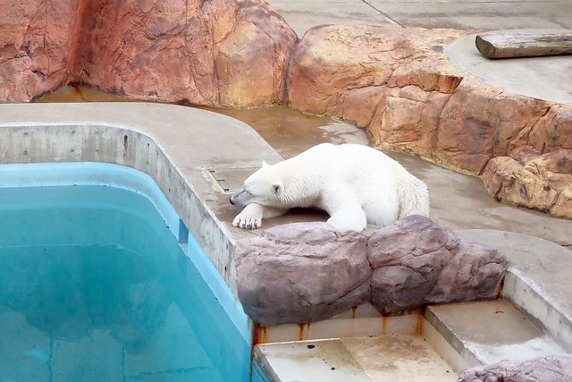 日本秋田旅遊景點┃秋田趴趴造Day4：小安峽大噴湯&rarr;佐藤養助(稻庭烏龍麵體驗+午餐)&rarr;兩關酒造&rarr;男鹿水族館GAO&rarr;元湯雄山閣&rarr;NAMAHAGE神鬼太鼓表演 @飛天璇的口袋