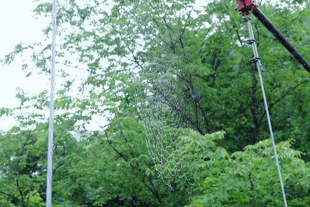 日本秋田旅遊景點┃秋田趴趴造Day3：抱返溪谷&rarr;AKITA藝術村(採藍莓、武士體驗)&rarr;TAZAWAKO(冠軍啤酒)&rarr;雪窯館&rarr; 增田古蹟(舊石田理吉家)&rarr;小安峽溫泉．元湯KURABU @飛天璇的口袋