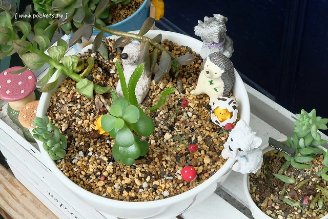 甜忌廉甜點店 Cream&Sugar｜香港潮男開設的甜點店，清爽好吃又有創意 @飛天璇的口袋