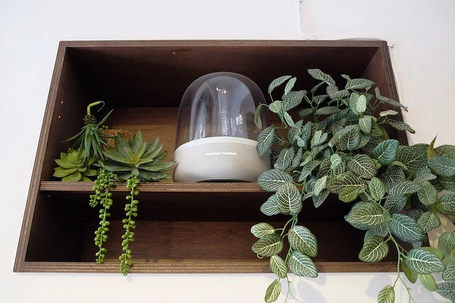 早伴早餐｜老宅改建早午餐店，環境簡單樸實，餐點平價深受學生族群的喜歡 @飛天璇的口袋