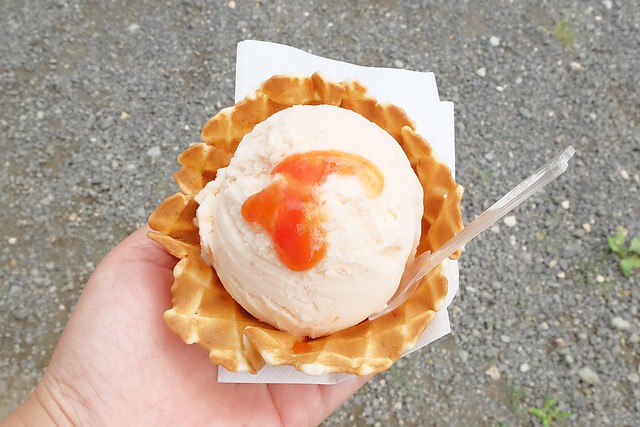 日本秋田｜秋田5天4夜行程規劃．夏天不一樣的美，秋田自由行美食景點 @飛天璇的口袋