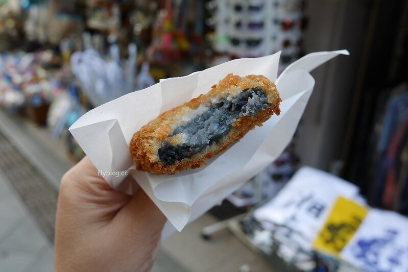 日本神奈川｜江之島半日遊，鎌倉江之島這樣玩，交通方式、旅遊景點、美食推薦 @飛天璇的口袋