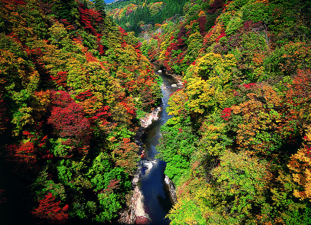 日本秋田旅遊景點┃秋田趴趴造Day4：小安峽大噴湯&rarr;佐藤養助(稻庭烏龍麵體驗+午餐)&rarr;兩關酒造&rarr;男鹿水族館GAO&rarr;元湯雄山閣&rarr;NAMAHAGE神鬼太鼓表演 @飛天璇的口袋