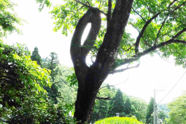 日本秋田旅遊景點┃秋田趴趴造Day4：小安峽大噴湯&rarr;佐藤養助(稻庭烏龍麵體驗+午餐)&rarr;兩關酒造&rarr;男鹿水族館GAO&rarr;元湯雄山閣&rarr;NAMAHAGE神鬼太鼓表演 @飛天璇的口袋