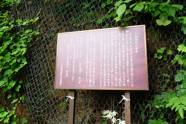 日本秋田旅遊景點┃秋田趴趴造Day4：小安峽大噴湯&rarr;佐藤養助(稻庭烏龍麵體驗+午餐)&rarr;兩關酒造&rarr;男鹿水族館GAO&rarr;元湯雄山閣&rarr;NAMAHAGE神鬼太鼓表演 @飛天璇的口袋