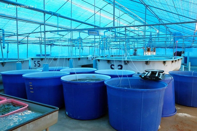 泰國華欣｜曼谷自由行Day4｜體驗和尚佈施&rarr;Laem Phak Bia環境研究發展中心&rarr;Krua Bang Ta Boon午餐&rarr;皇家海洋種植業及養殖中心&rarr;海塩SPA療程&rarr;Devasom Huahin Resort晚餐&rarr;Hua Hin Marriott Resort & Spa @飛天璇的口袋